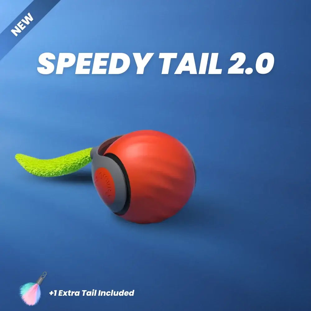 Mavoniquecosh®🐱🐶The Boredom Killer: Smart 360° Self-Rolling Cat&Dog Ball (USB Rechargeable)