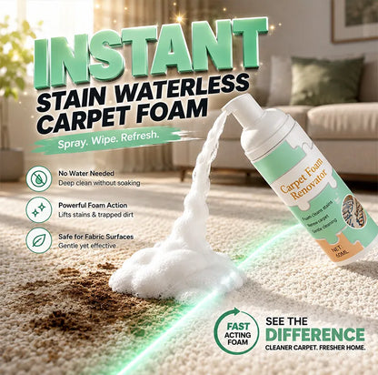 🔥Limited Time Promotion 50% OFF🔥Waterless Carpet Foam Stain Remover with Towel