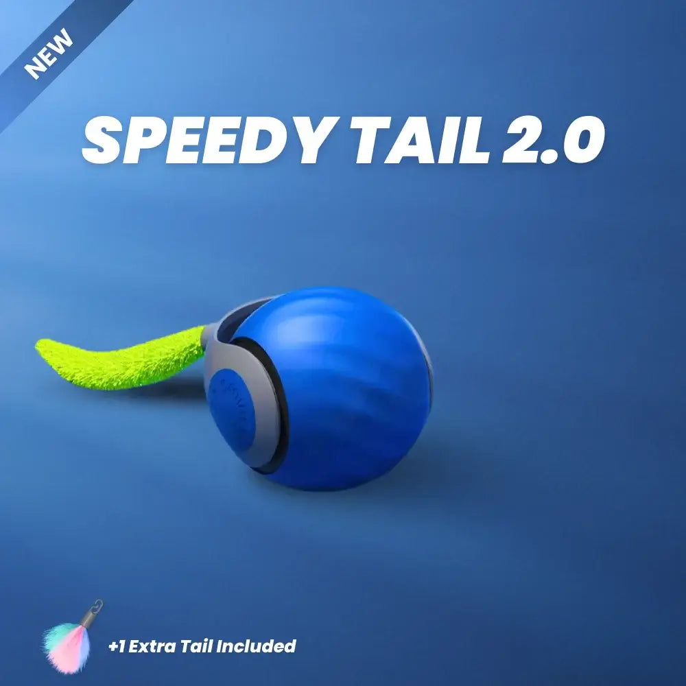 Mavoniquecosh®🐱🐶The Boredom Killer: Smart 360° Self-Rolling Cat&Dog Ball (USB Rechargeable)