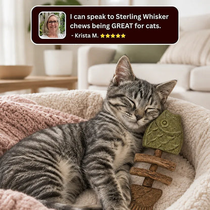 🔥Day Sale 50% OFF🐾-Catnip & Silvervine Chew