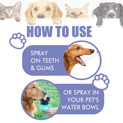 🔥2026 New Arrivals: 50% Off for a Limited Time!🔥MAVONIQUECOSH®Teeth Cleaning Spray for Pets