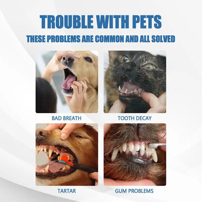 Last Day: Buy More Get More Free🔥🔥MAVONIQUECOSH®No-Brush Pet Teeth Cleaning Spray🐕🐱