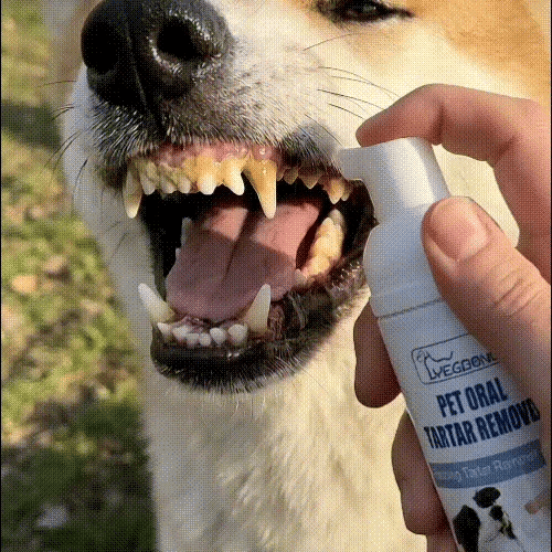 Last Day: Buy More Get More Free🔥🔥MAVONIQUECOSH®No-Brush Pet Teeth Cleaning Spray🐕🐱