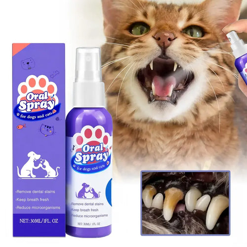 🔥2026 New Arrivals: 50% Off for a Limited Time!🔥MAVONIQUECOSH®Teeth Cleaning Spray for Pets
