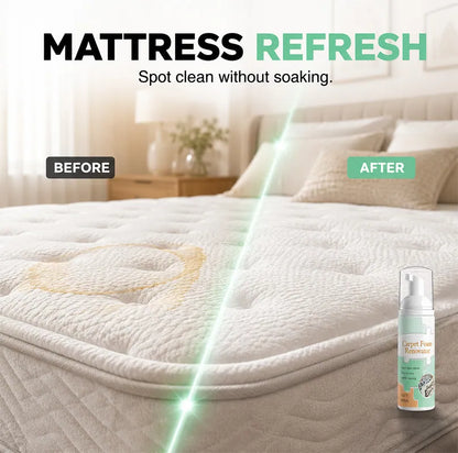 🔥Limited Time Promotion 50% OFF🔥Waterless Carpet Foam Stain Remover with Towel