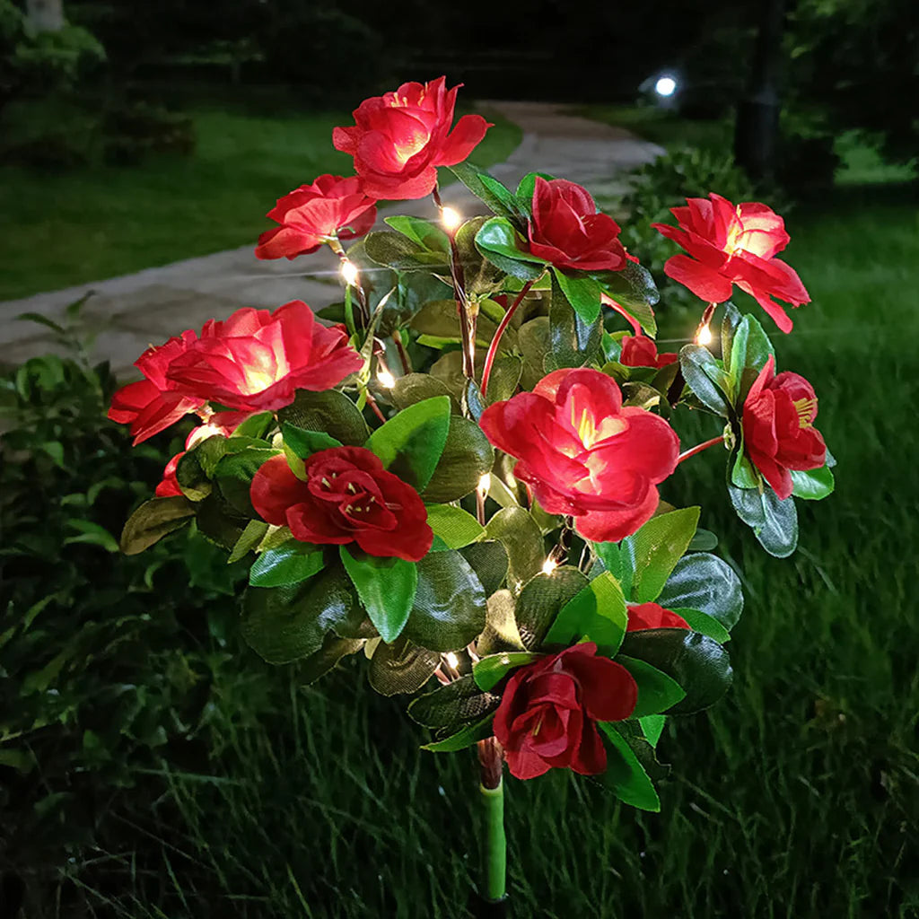 Mavoniquecosh®☀️🌹Solar Rhododendron – Realistic LED Garden Glow (Waterproof & Zero Energy)