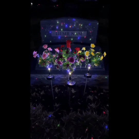 Mavoniquecosh®☀️🌹Solar Rhododendron – Realistic LED Garden Glow (Waterproof & Zero Energy)