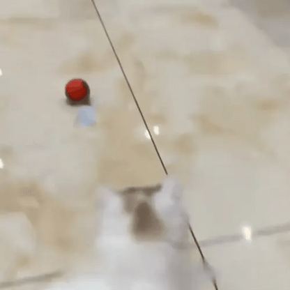 Mavoniquecosh®🐱🐶The Boredom Killer: Smart 360° Self-Rolling Cat&Dog Ball (USB Rechargeable)